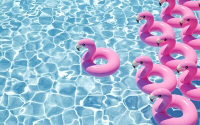 Tweed Coast Swimming Pool